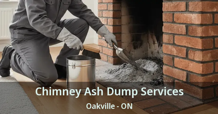 Chimney Ash Dump Services Oakville - ON