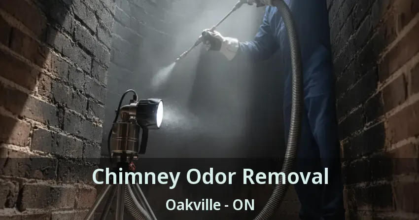 Chimney Odor Removal Oakville - ON