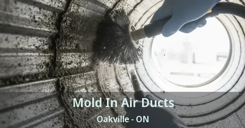 Mold In Air Ducts Oakville - ON